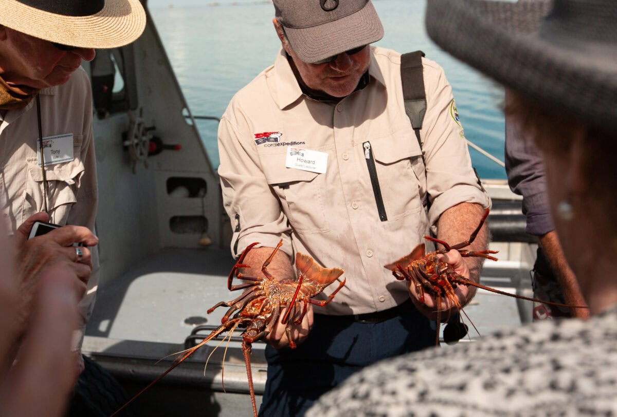 Coral Expeditions _ Fresh Lobster at Abrolhos Islands