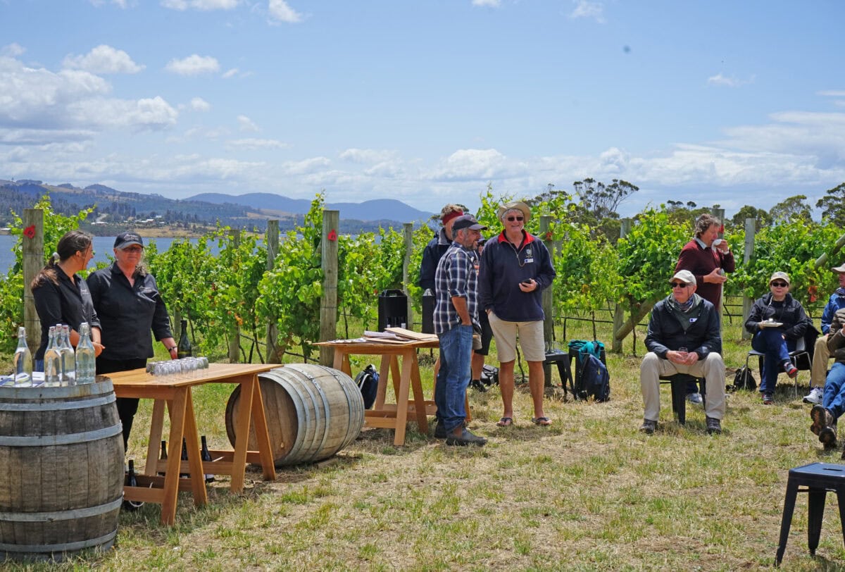 Coral Expeditions _ Wine tastings in Tasmania's Tamar region