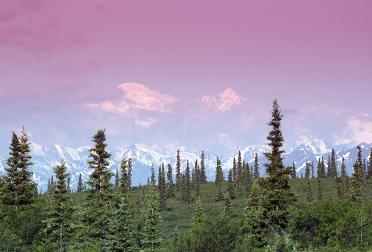 Skyline in Denali, Alaska