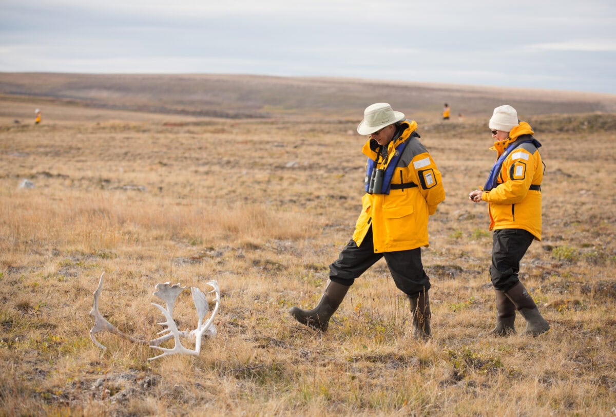 canadian_arctic_acacia_johnson_johansen_bay_7