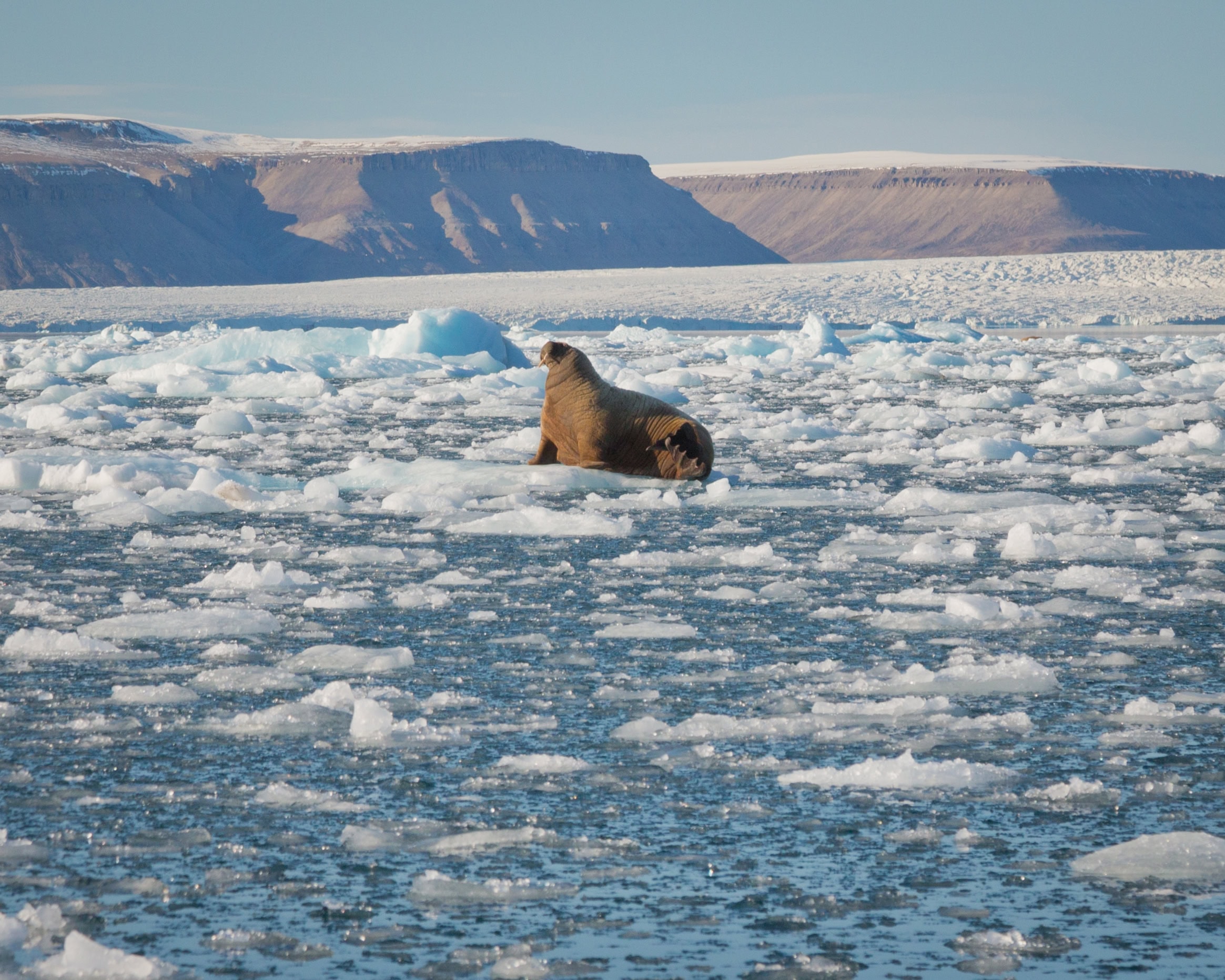 croker_bay_canadianarctic_acaciajohnson