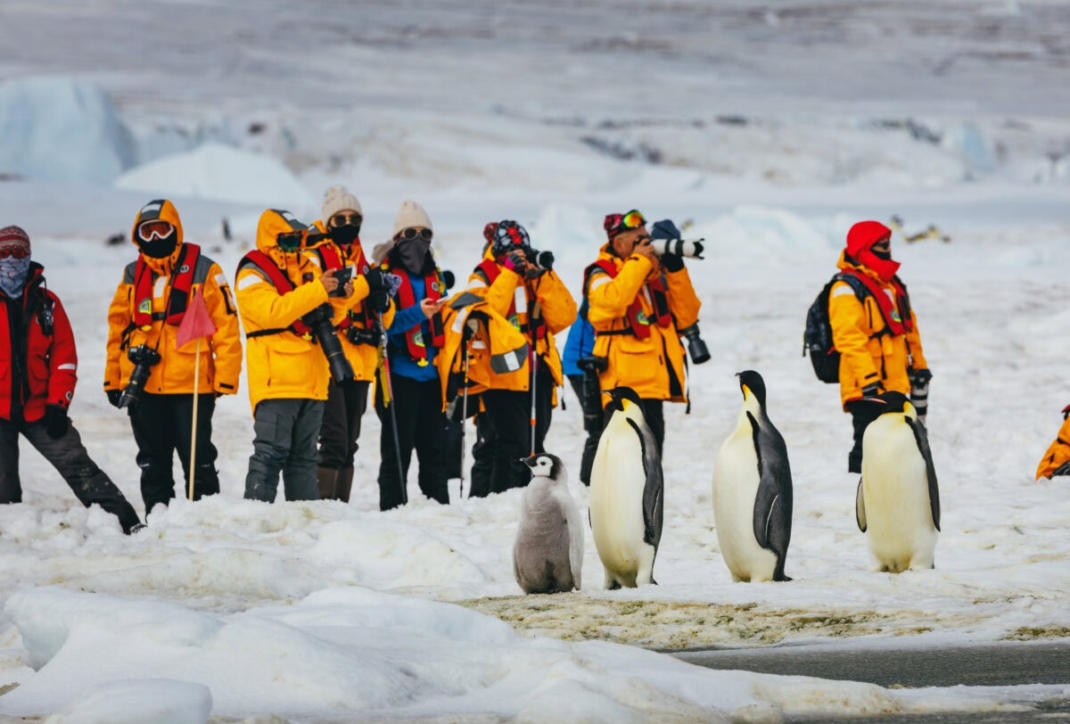 Snow Hill_David Merron_Passengers with penguins (10)