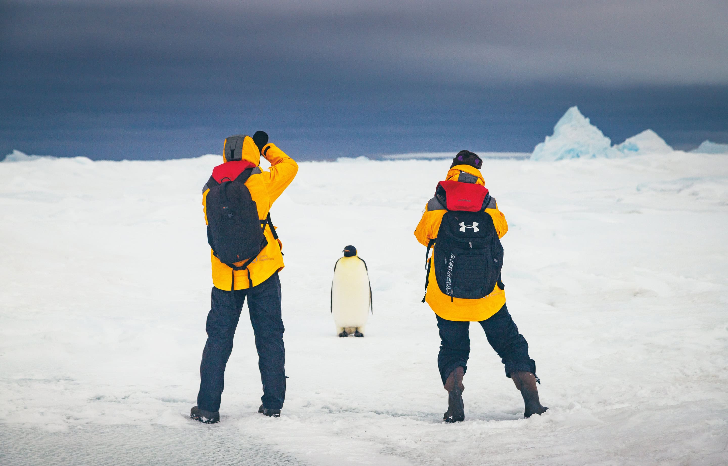 Snow Hill_David Merron_Passengers with penguins (21)